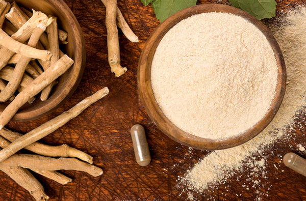 Top 7 Ashwagandha Benefits for Overall Health and Well-Being