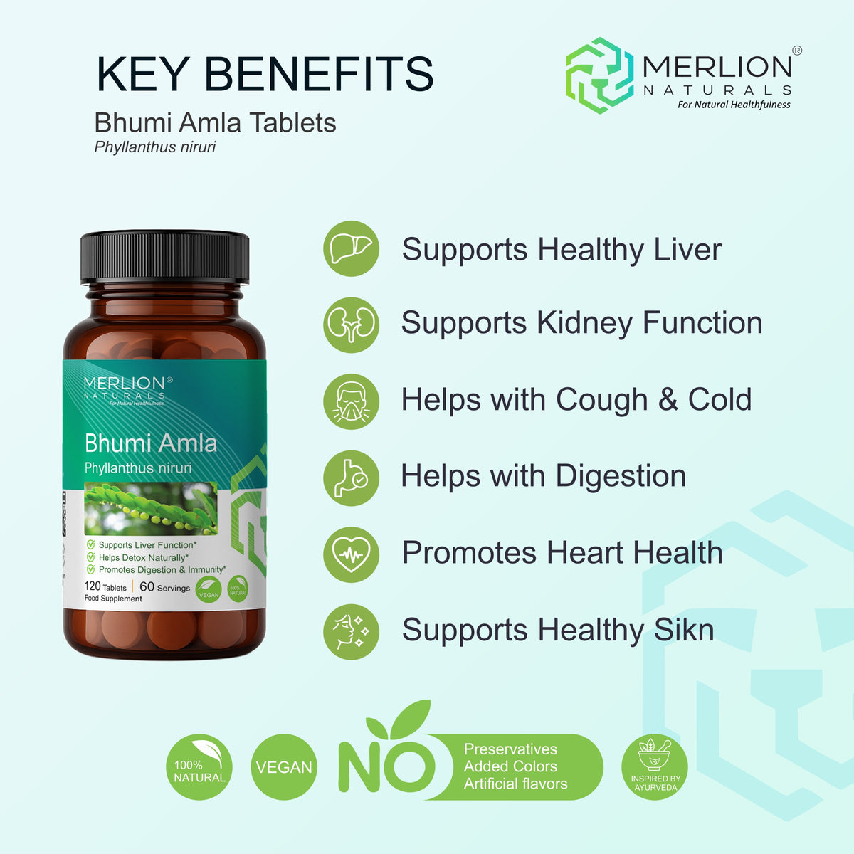 Bhumi Amla Tablets (Phyllanthus niruri), 500mg x 120 Tablets