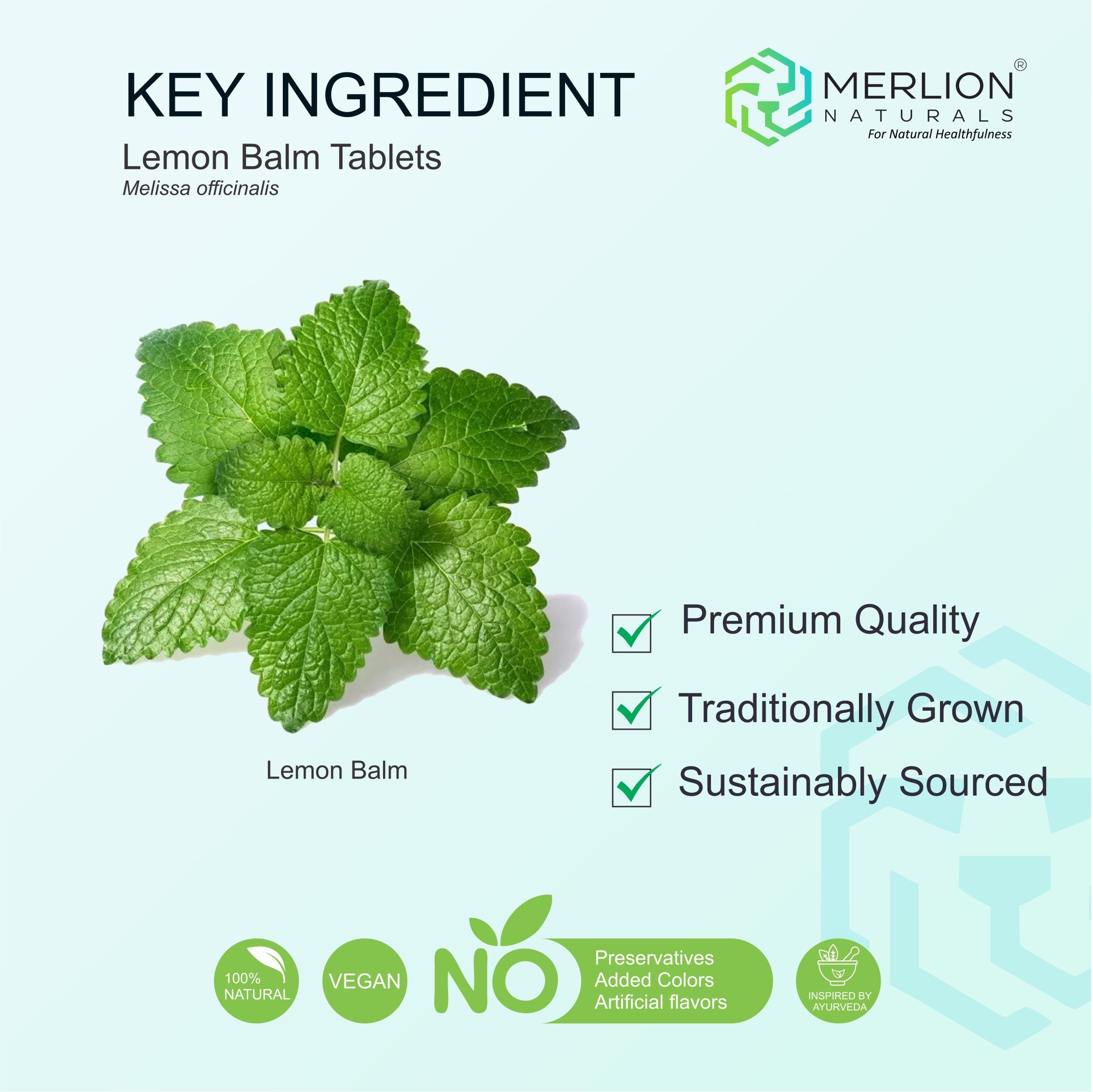 Lemon Balm Tablets | Melissa officinalis | 500mg x 120 Tablets
