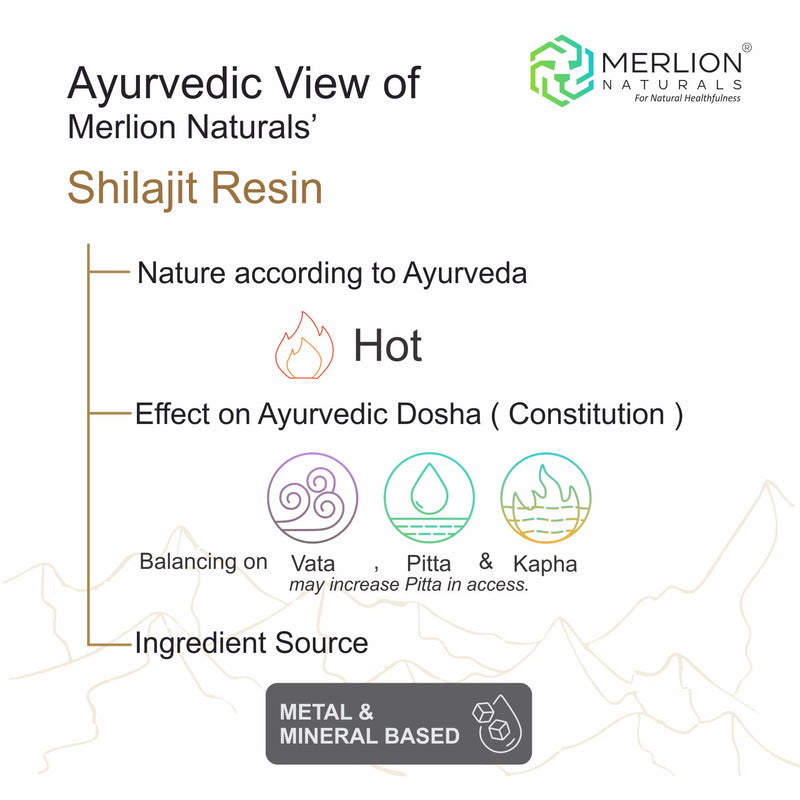Shilajit Resin 20gm,  Asphaltum punjabianum  Pure Shilajit from Himalaya