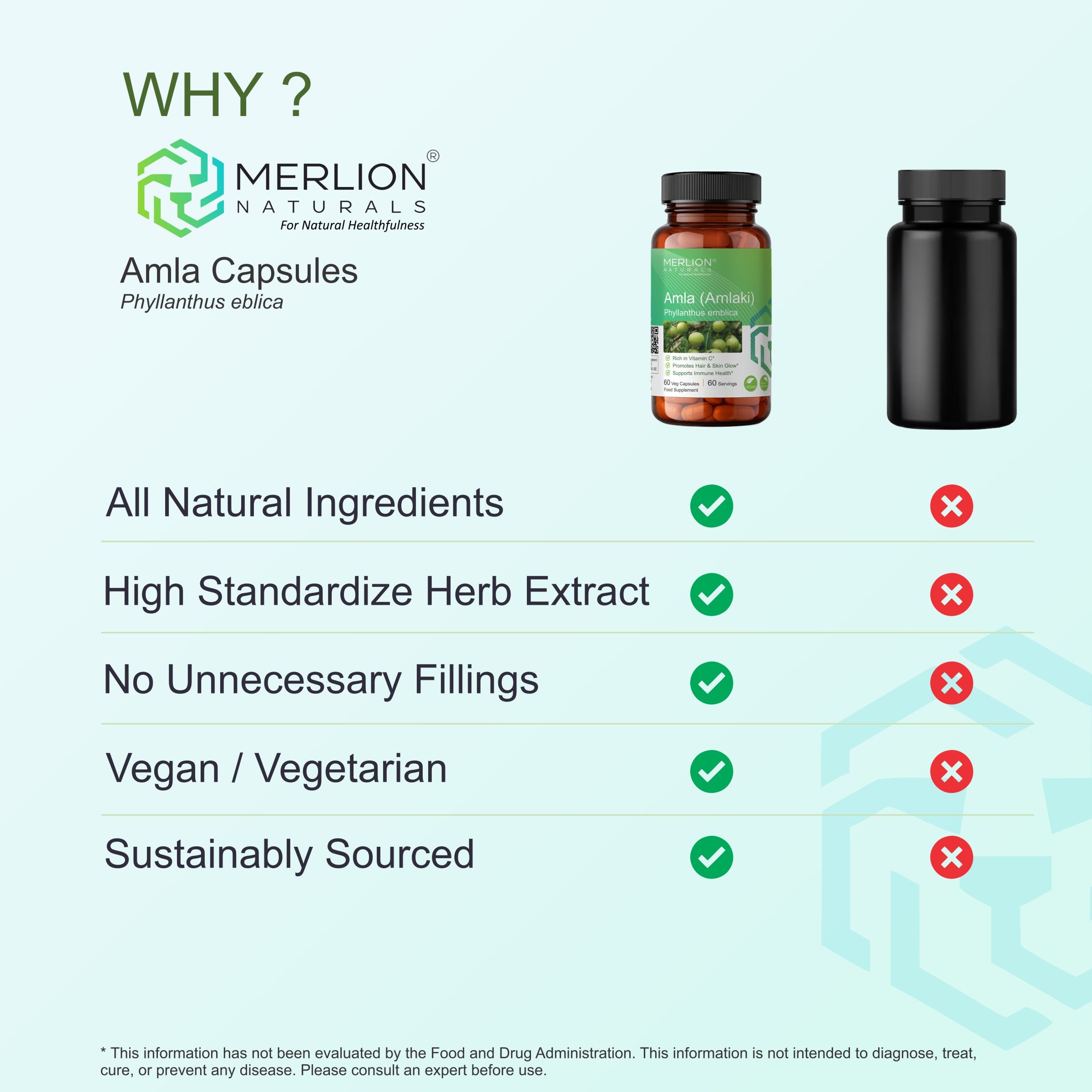 Amla Extract Capsules | Phyllanthus emblica / Indian gooseberry | 600mg
