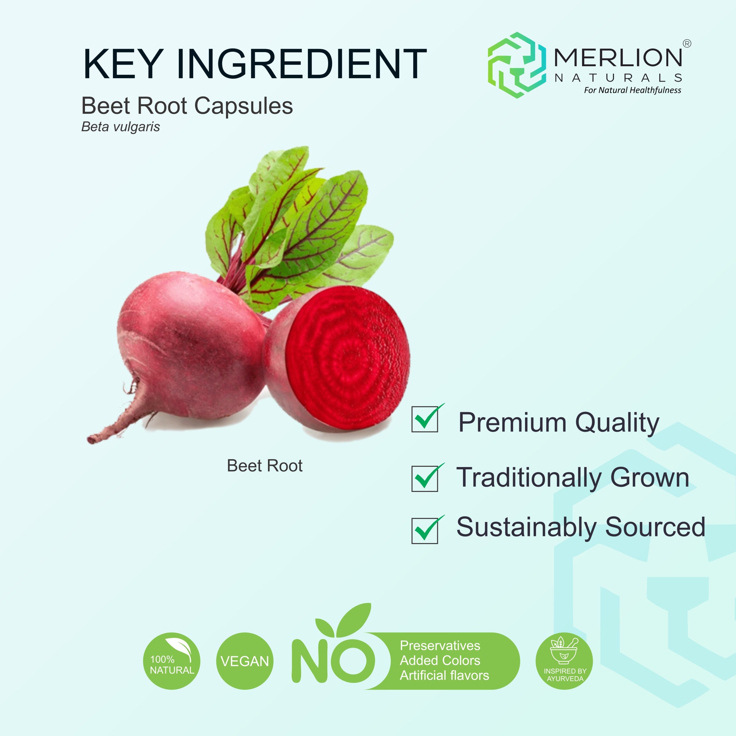 Beet Root Tablets, Beta vulgaris, 500mg x 120 Tablets
