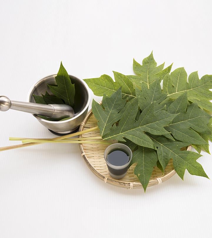 Unlocking the Health Potential: Exploring the Benefits of Papaya Leaf Tablets