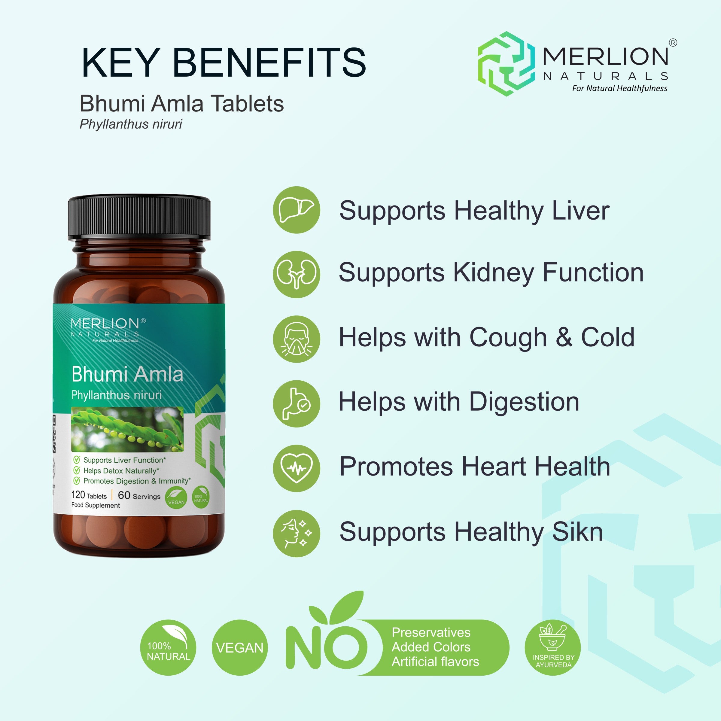 Bhumi Amla Tablets (Phyllanthus niruri), 500mg x 120 Tablets