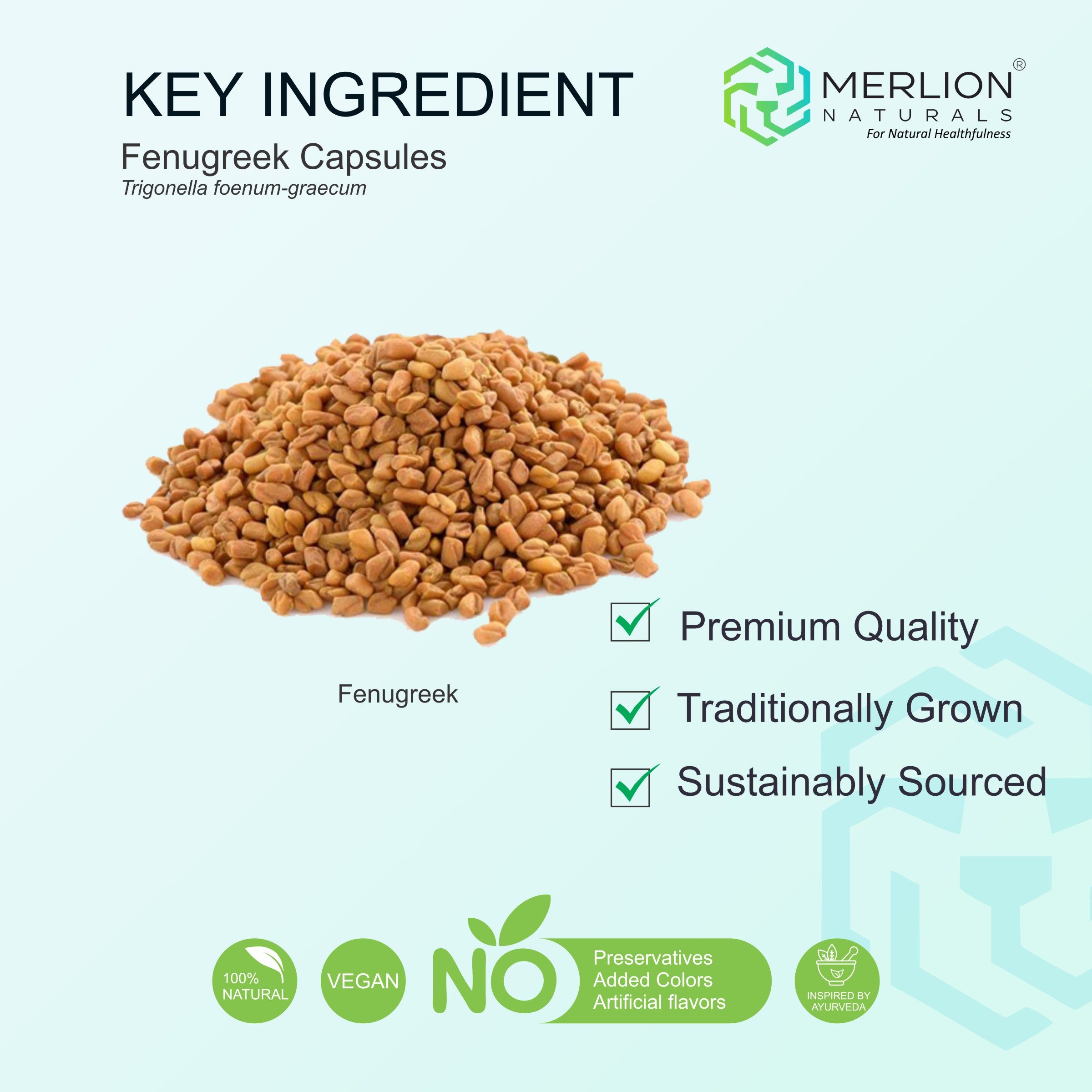 Fenugreek Tablets (Trigonella foenum-graecum), 500mg x 120 Tablets