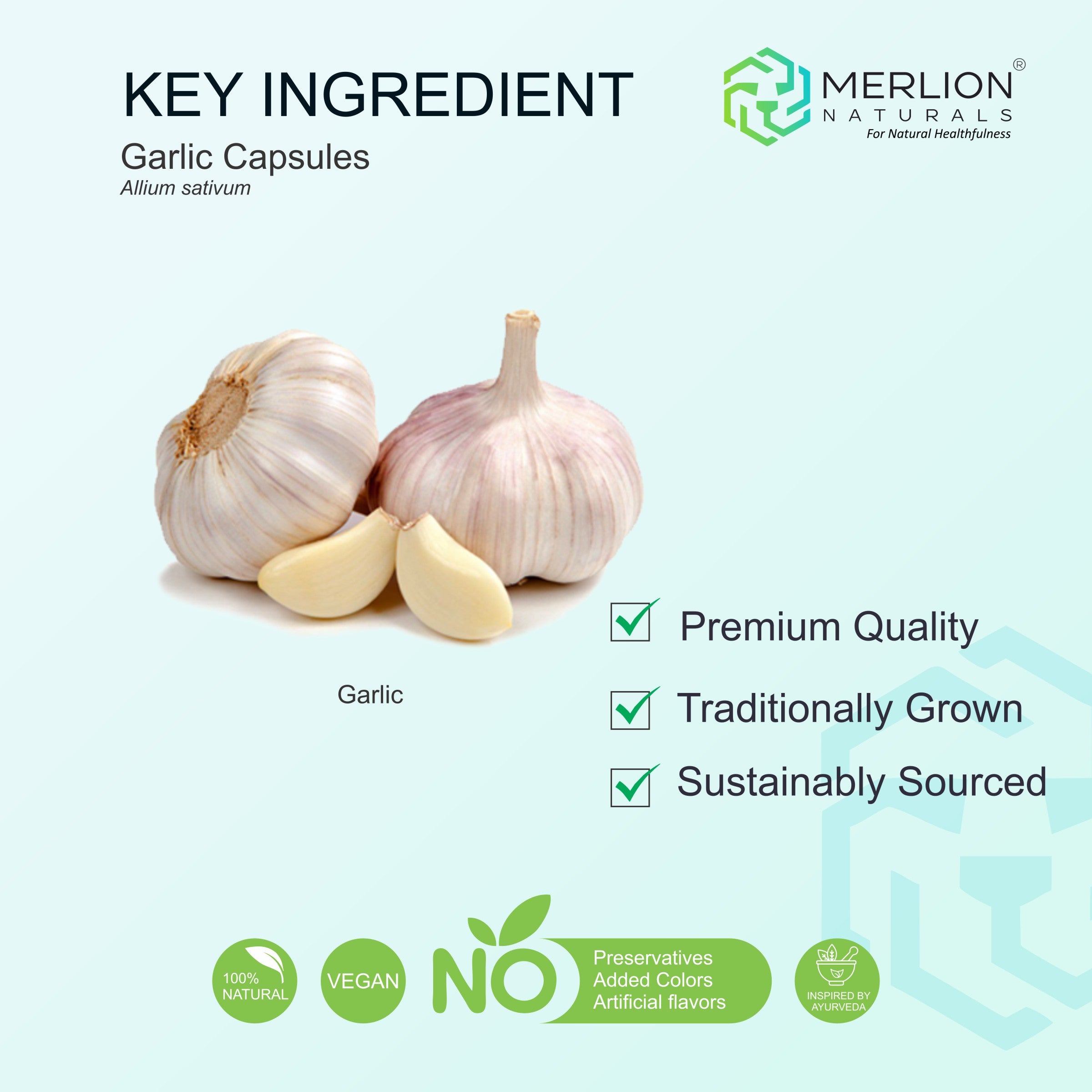 Garlic Tablets (Allium sativum), 500mg x 120 Tablets