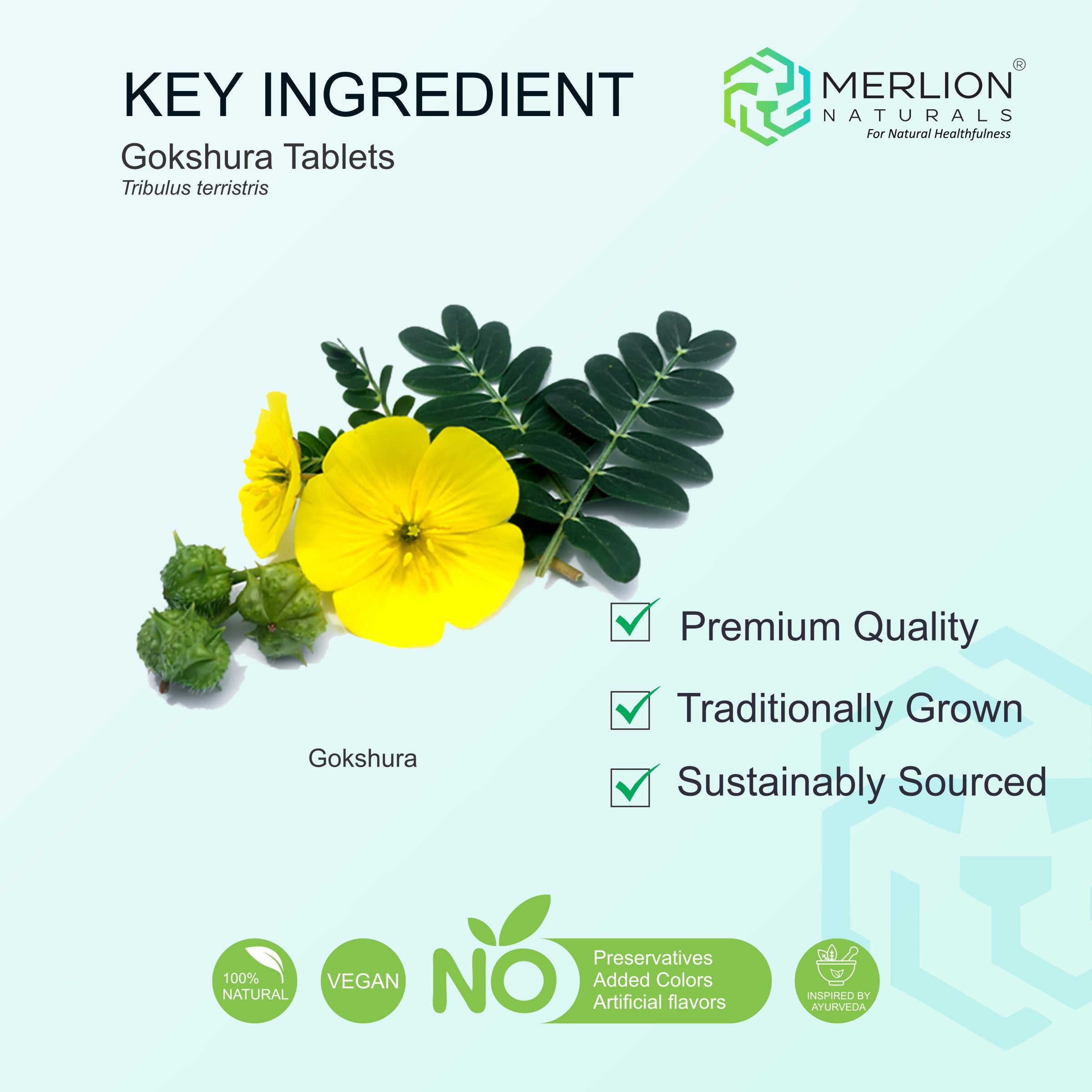 Gokshura Tablets (Tribulus terrestris), 500mg x 120 Tablets