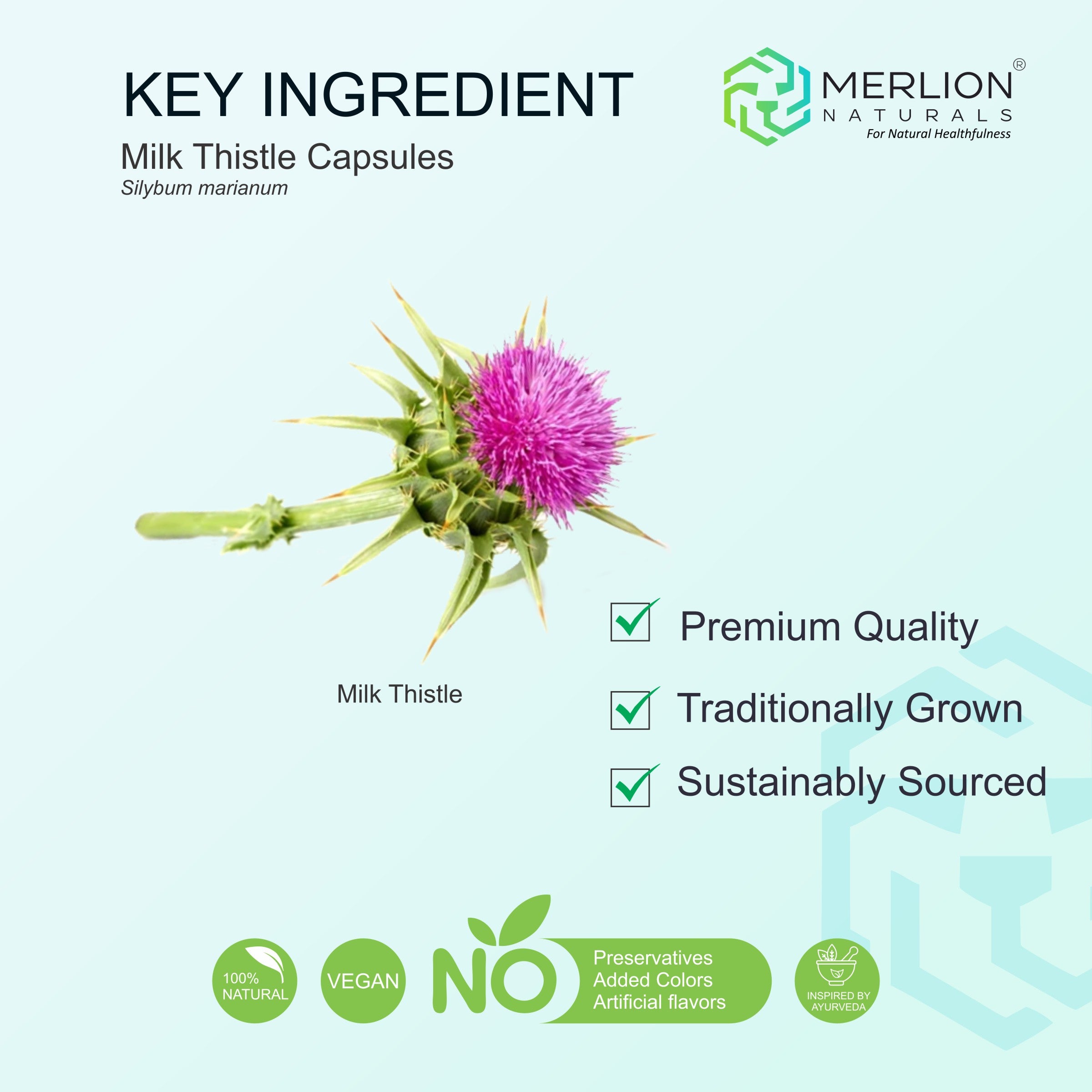 Milk Thistle Tablets, Silybum marianum, 500mg x 120 Tablets