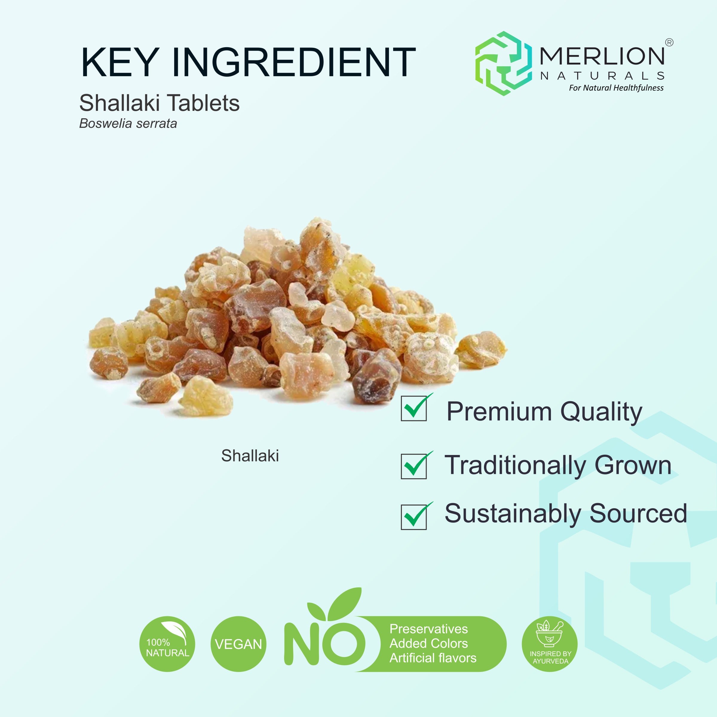 Shallaki Tablets (Boswellia serrata), 500mg x 120 Tablets