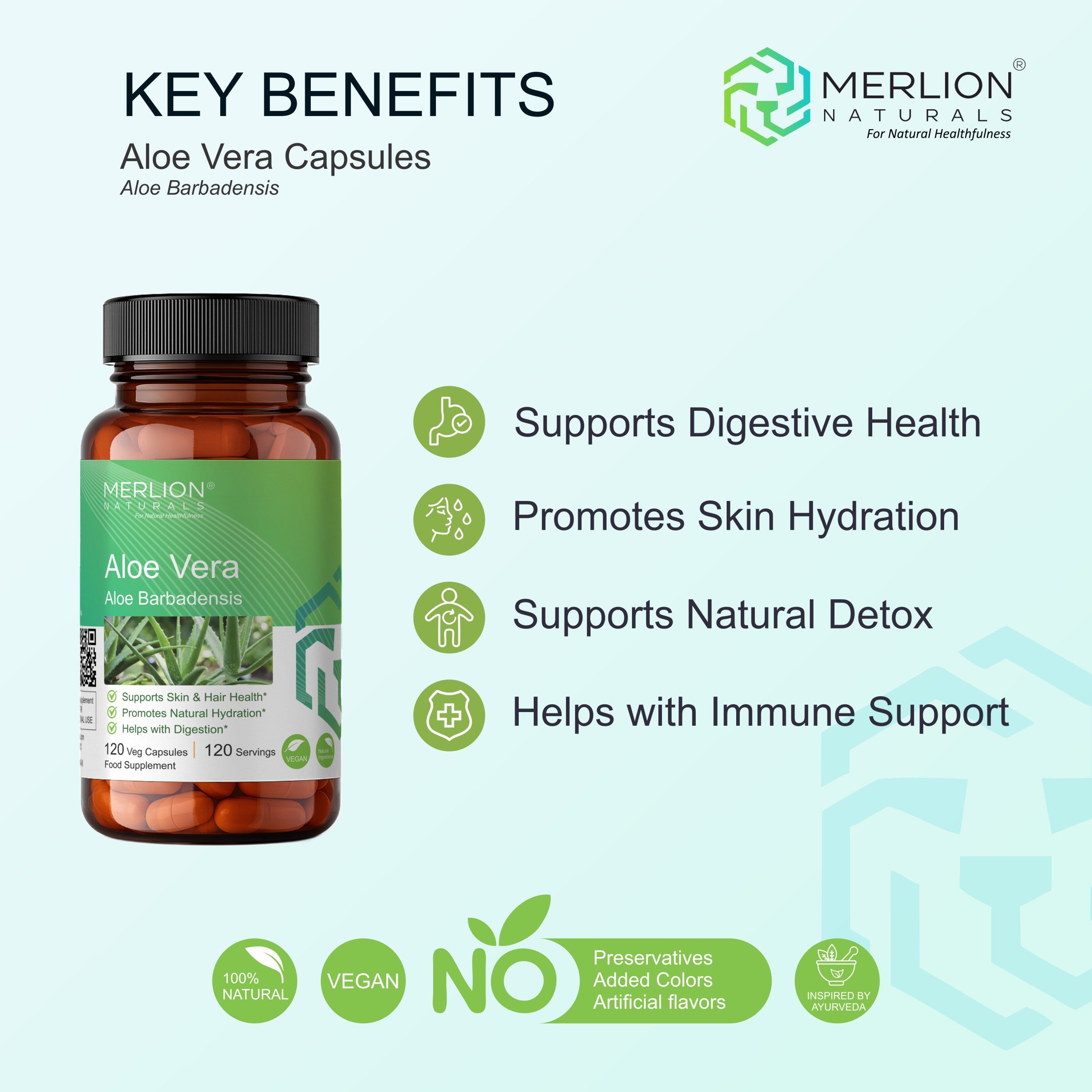 Aloe Vera Extract Capsules | Aloe barbadensis