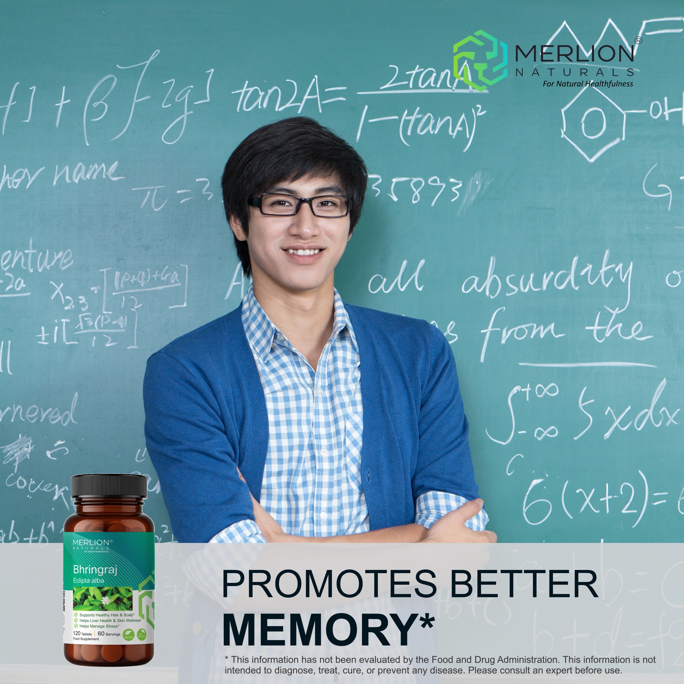 Bhringraj Tablets (Eclipta alba), 500mg x 120 Tablets