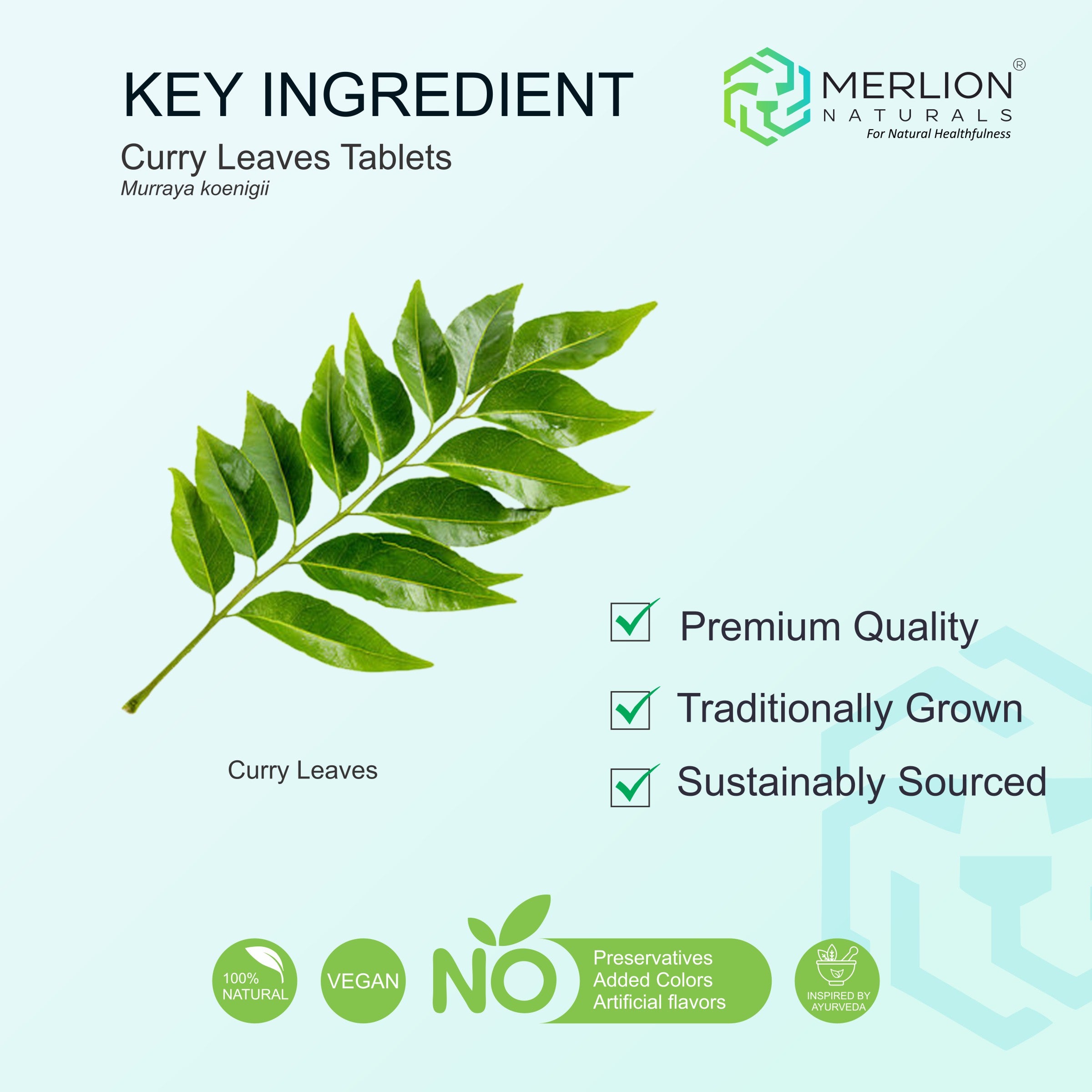 Curry Leaves Tablets (Murraya koenigii), 500mg x 120 Tablets