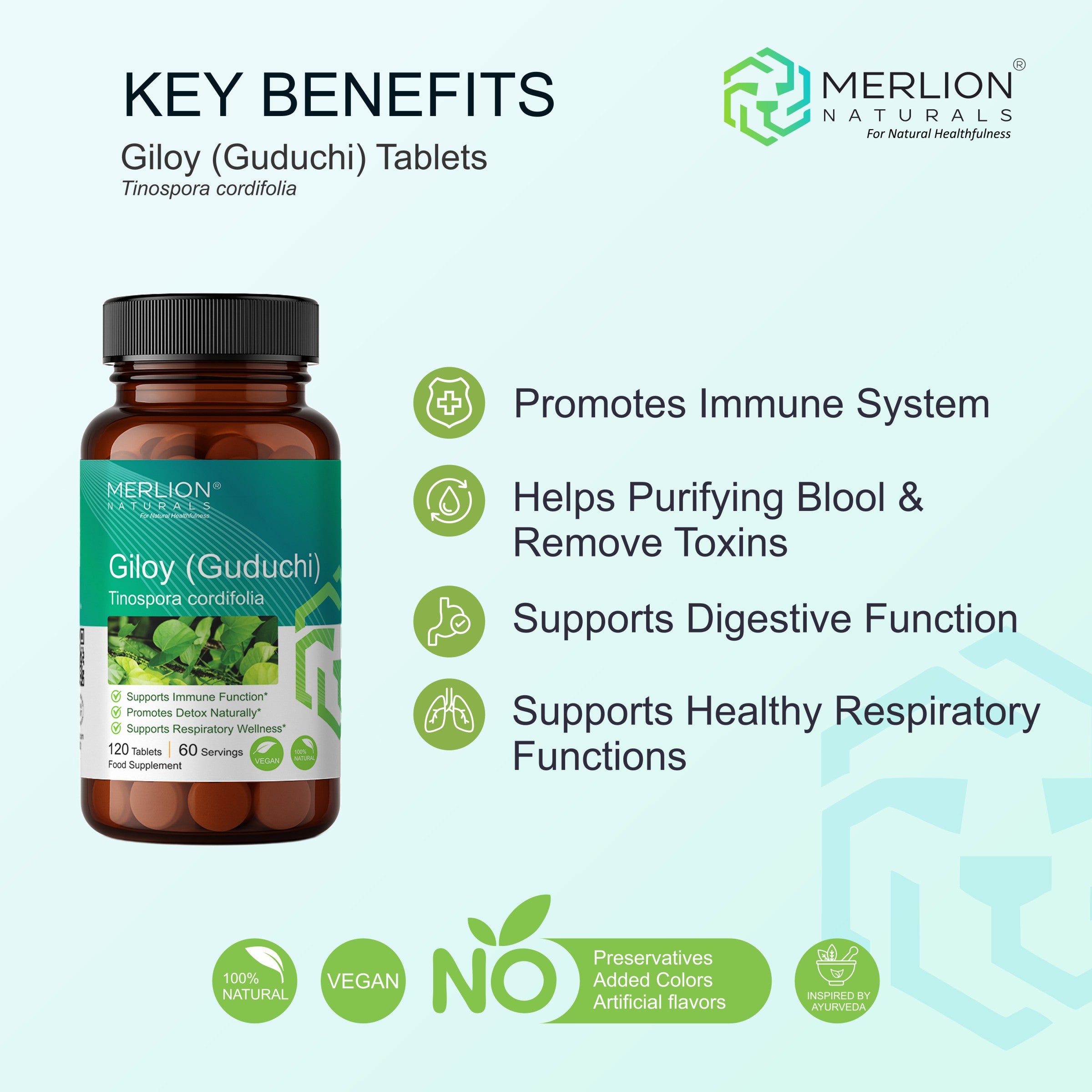Giloy (Guduchi) Tinospora cordifolia Tablets, 500mg x 120 Tablets