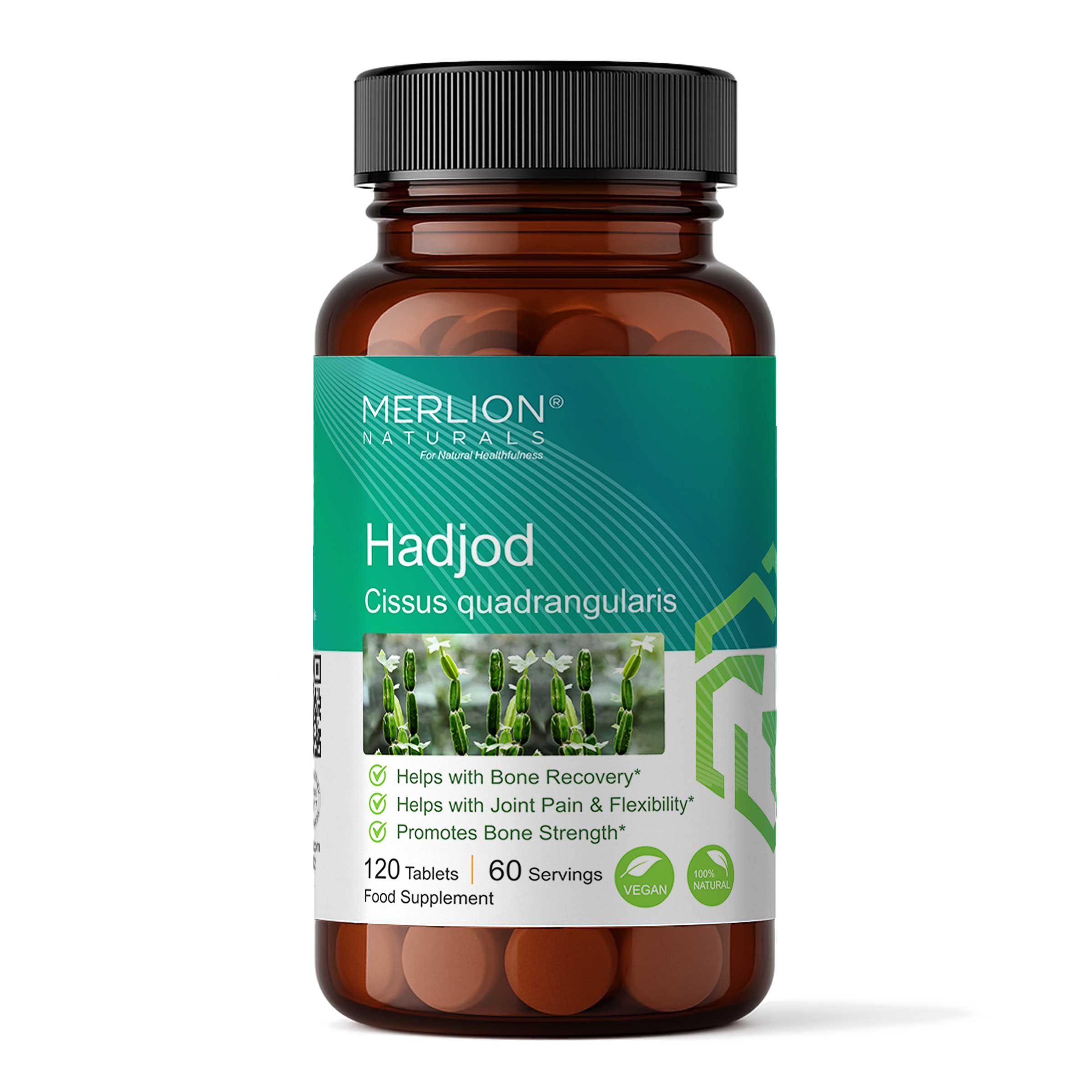 Hadjod Tablets (Cissus quadrangularis), 500mg x 120 Tablets