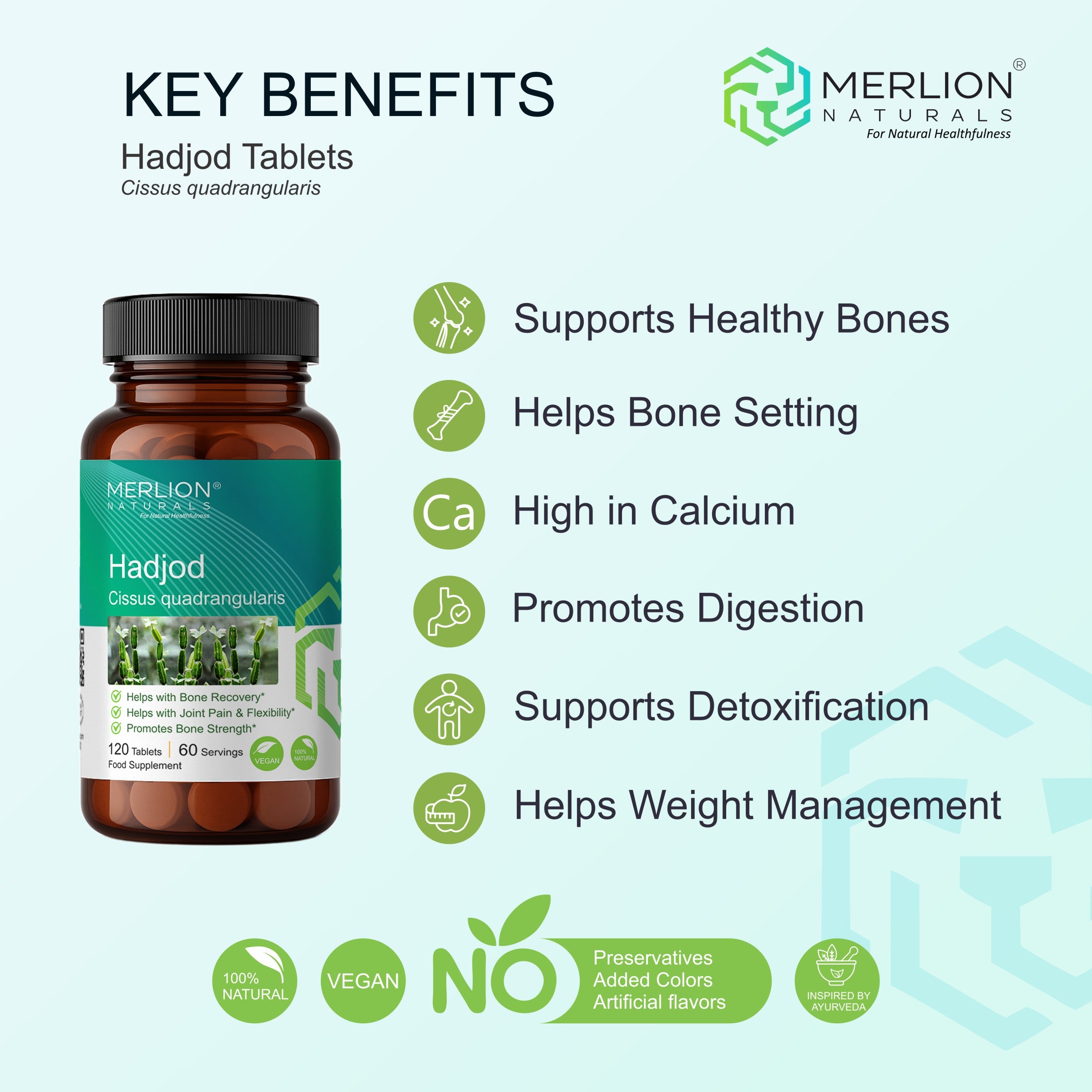 Hadjod Tablets (Cissus quadrangularis), 500mg x 120 Tablets