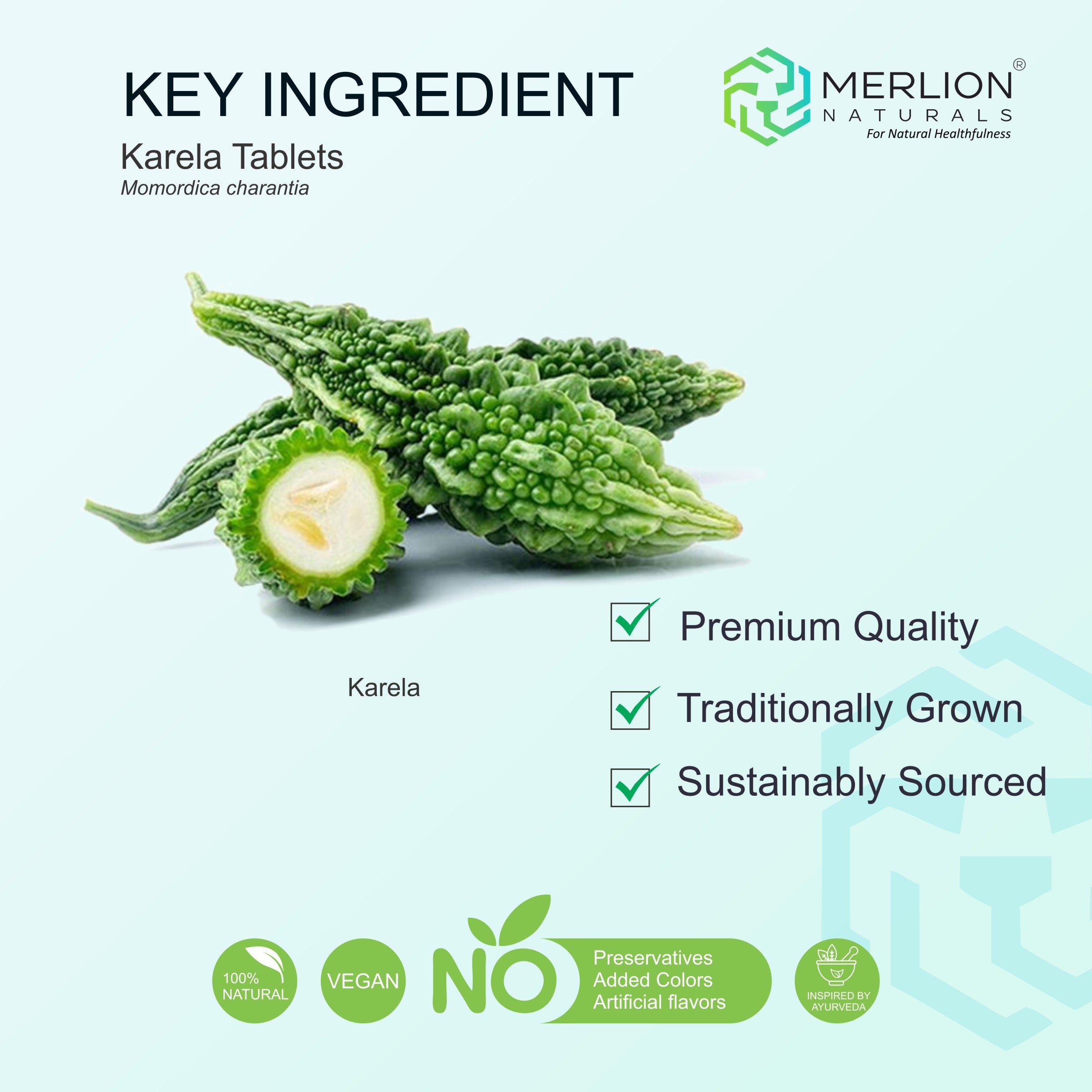 Karela Tablets (Bitter Melon), 500mg x 120 Tablets Merlion Naturals Australia