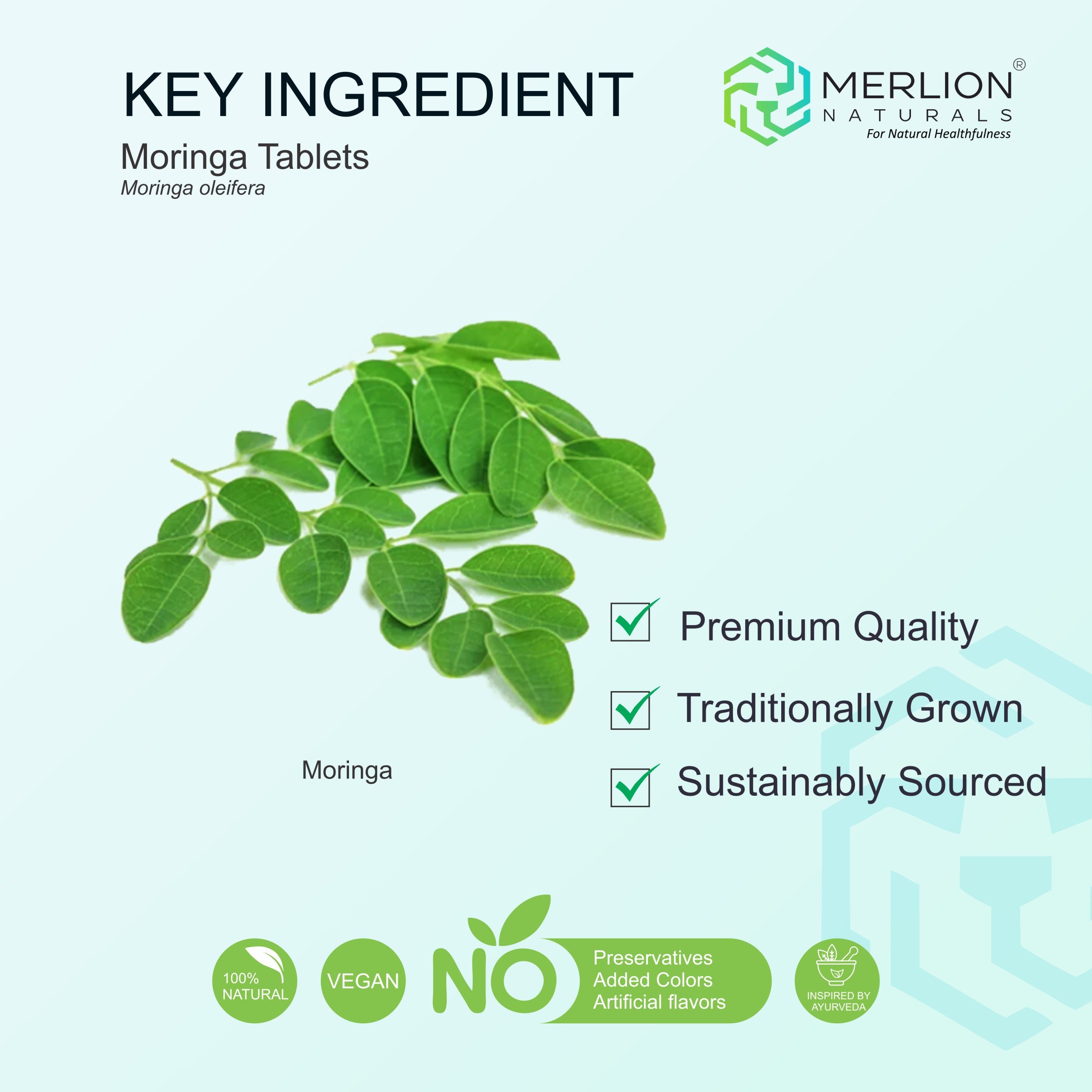 Moringa Tablets (Moringa oleifera), 500mg x 120 Tablets