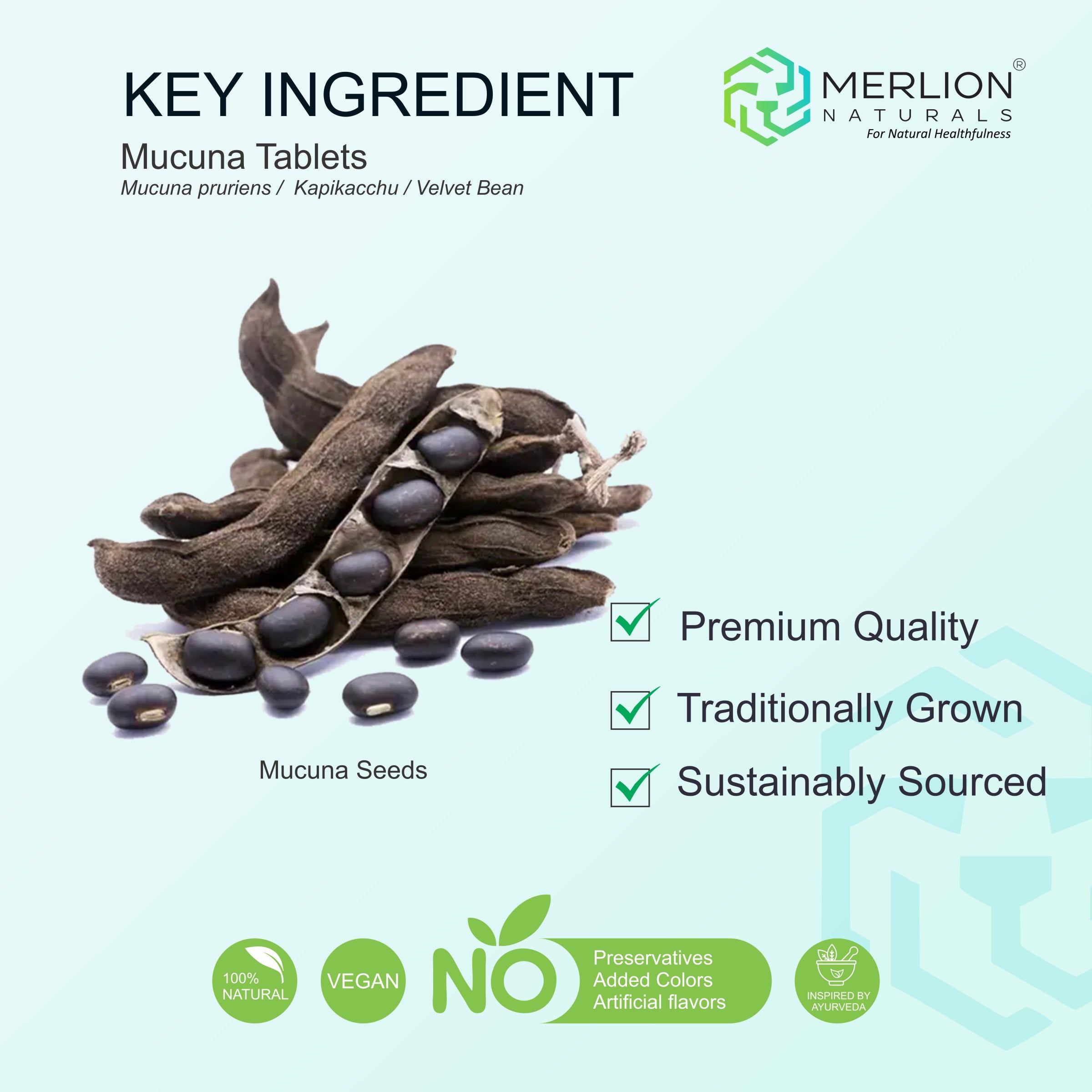 Mucuna Tablets (Kapikachu) Mucuna pruriens, 500mg x 120 Tablets