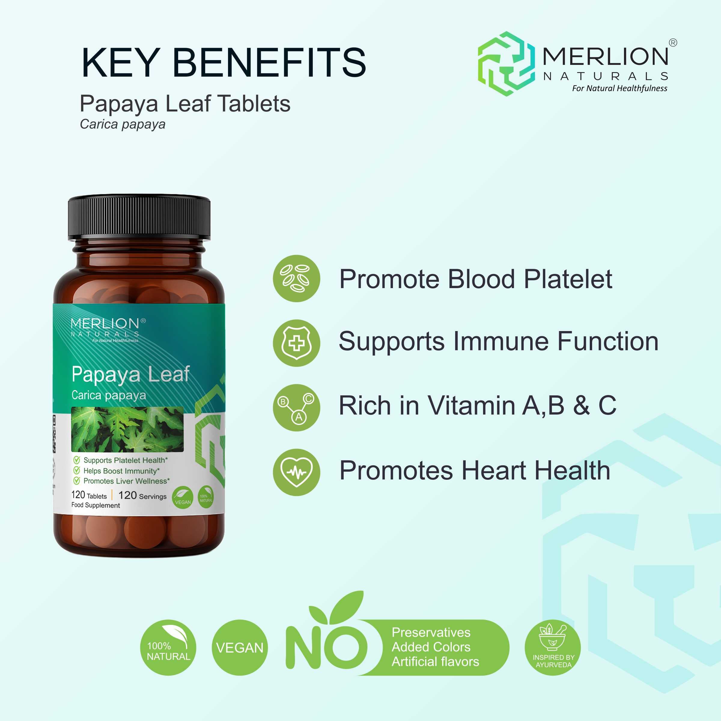 Papaya Leaf Tablets, Carica papaya, 500mg x 120 Tablets