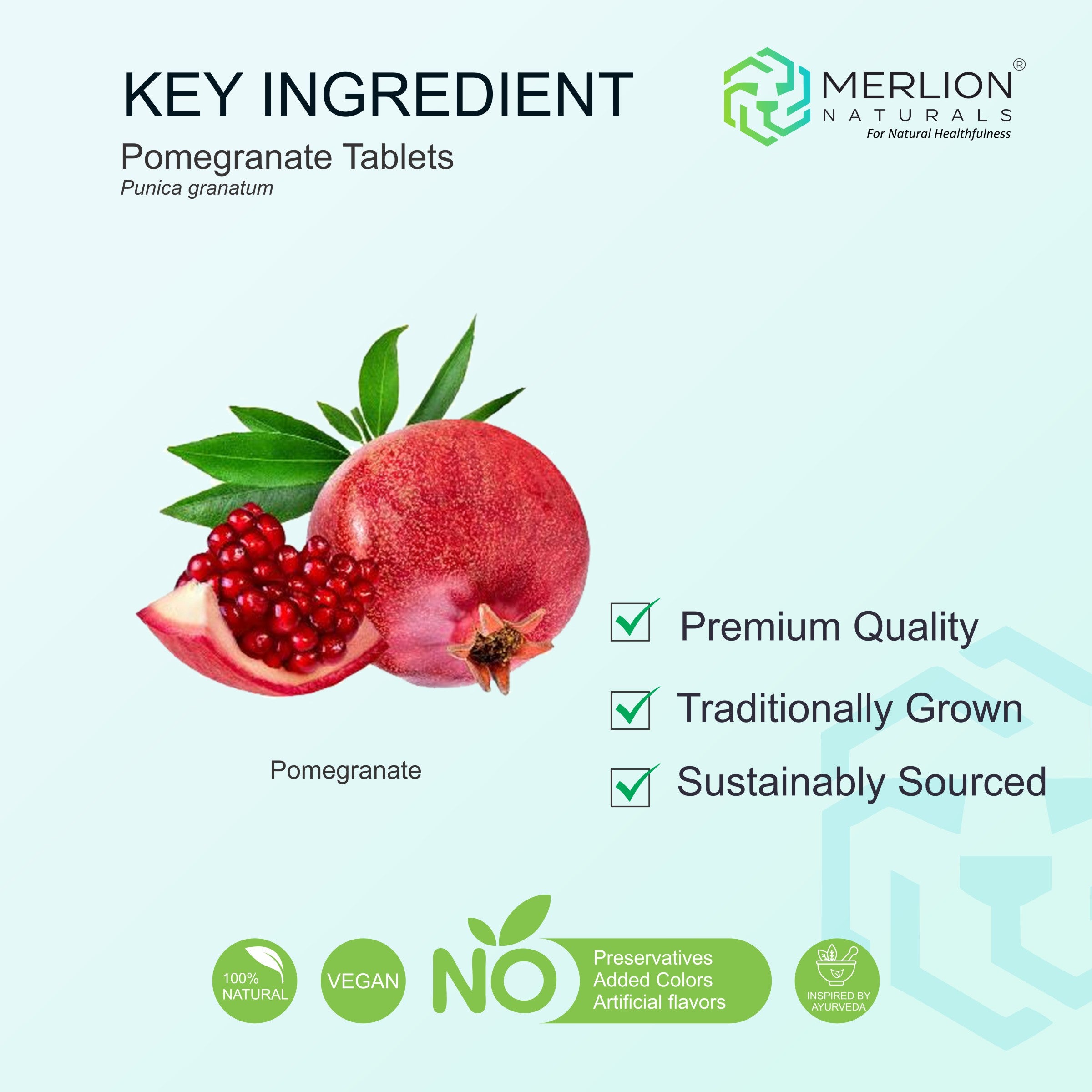 Pomegranate Tabelts, Punica granatum, 500mg x 120 Tablets