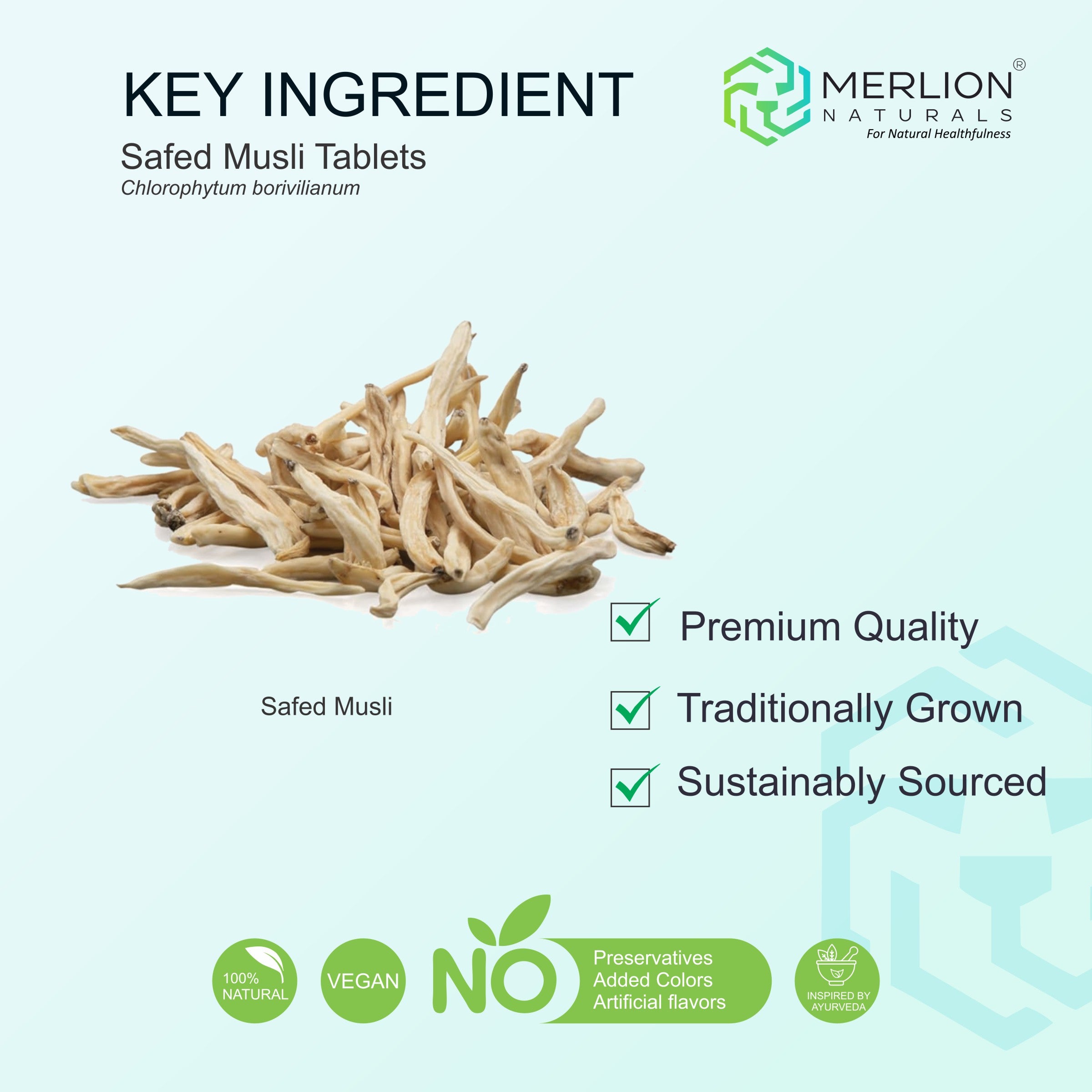 Safed Musli Tables, Chlorophytum borivilianum, 500mg x 120 Tablets