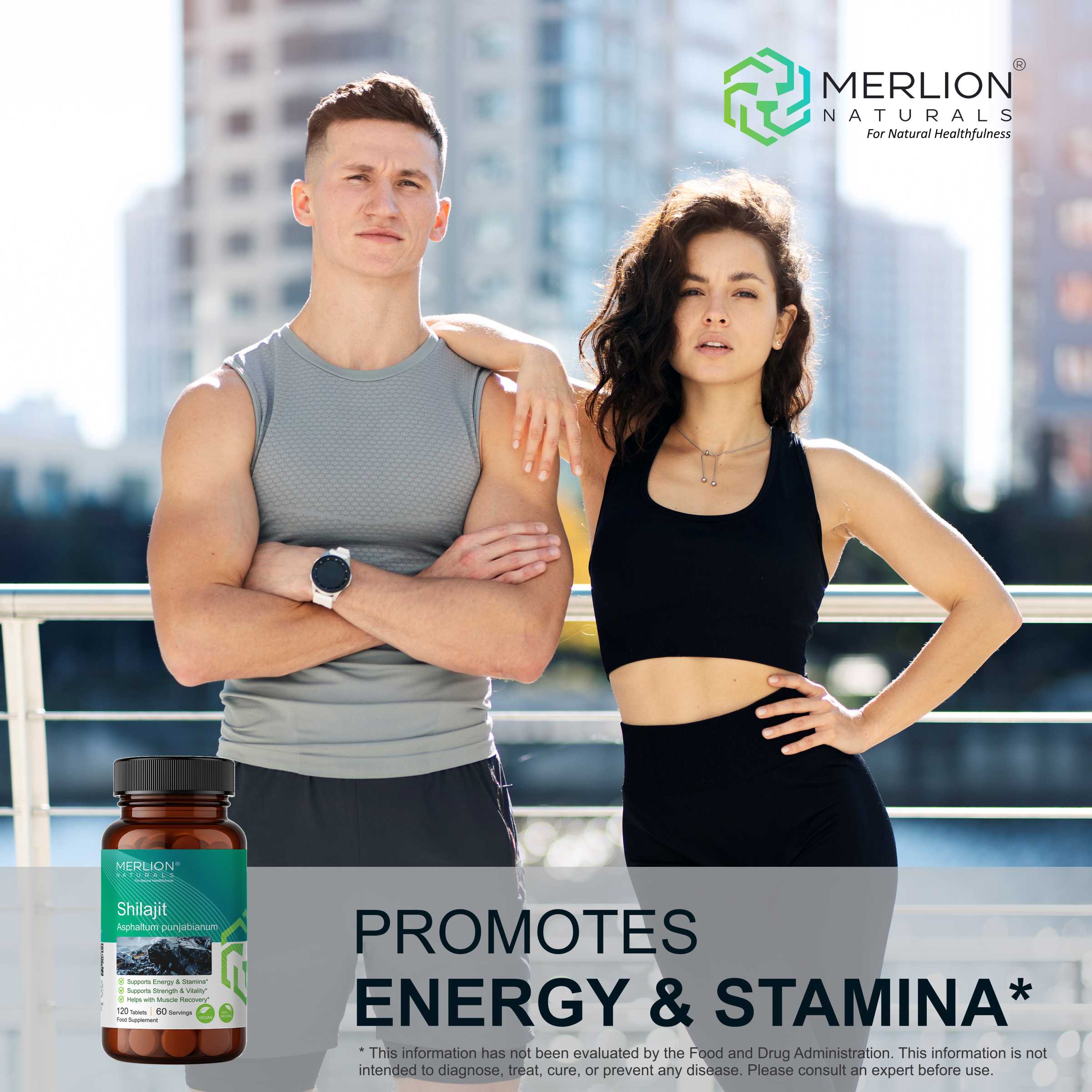Shilajit Tablets, Asphaltum punjabianum, 500mg x 120 Tablets